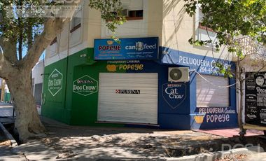 Casa - Capital