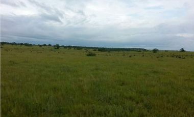 FINCA DE 34.488 HECTAREAS EN VENTA, PUERTO GAITAN META