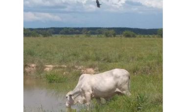 FINCA DE 34.488 HECTAREAS EN VENTA, PUERTO GAITAN META
