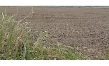 FINCA DE 34.488 HECTAREAS EN VENTA, PUERTO GAITAN META