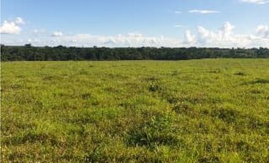 FINCA DE 34.488 HECTAREAS EN VENTA, PUERTO GAITAN META