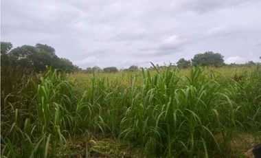 FINCA DE 34.488 HECTAREAS EN VENTA, PUERTO GAITAN META