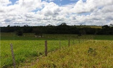 FINCA DE 34.488 HECTAREAS EN VENTA, PUERTO GAITAN META