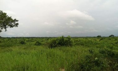 FINCA DE 34.488 HECTAREAS EN VENTA, PUERTO GAITAN META