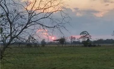 FINCA DE 34.488 HECTAREAS EN VENTA, PUERTO GAITAN META