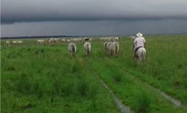 FINCA DE 34.488 HECTAREAS EN VENTA, PUERTO GAITAN META