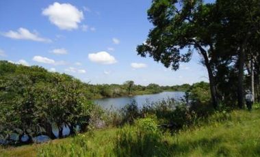 FINCA GANADERA DE 17.000 HECTAREAS EN VENTA, PUERTO GAITAN META