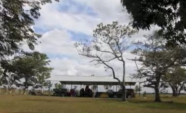 FINCA GANADERA DE 17.000 HECTAREAS EN VENTA, PUERTO GAITAN META