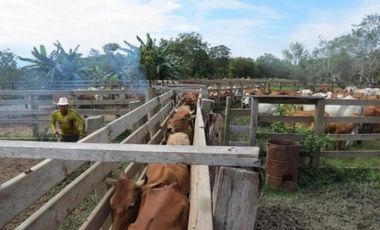 FINCA GANADERA DE 17.000 HECTAREAS EN VENTA, PUERTO GAITAN META