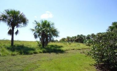 FINCA GANADERA DE 17.000 HECTAREAS EN VENTA, PUERTO GAITAN META
