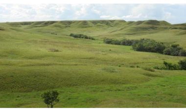 FINCA GANADERA DE 17.000 HECTAREAS EN VENTA, PUERTO GAITAN META