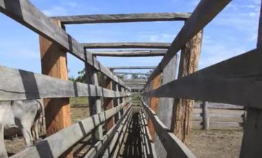 FINCA GANADERA DE 17.000 HECTAREAS EN VENTA, PUERTO GAITAN META