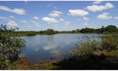 FINCA GANADERA DE 17.000 HECTAREAS EN VENTA, PUERTO GAITAN META