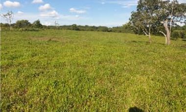 FINCA DE 80.000 HECTAREAS EN VENTA, PUERTO GAITAN META