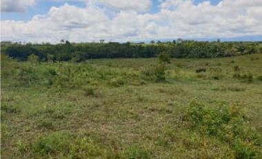 FINCA DE 80.000 HECTAREAS EN VENTA, PUERTO GAITAN META