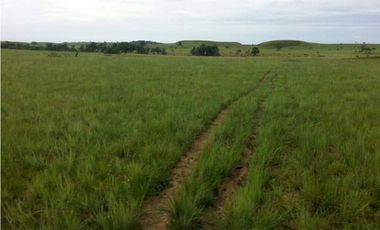 FINCA DE 80.000 HECTAREAS EN VENTA, PUERTO GAITAN META