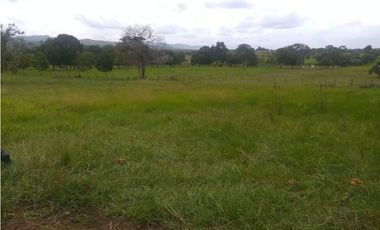 FINCA DE 80.000 HECTAREAS EN VENTA, PUERTO GAITAN META