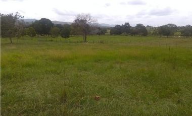 FINCA DE 80.000 HECTAREAS EN VENTA, PUERTO GAITAN META