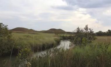 FINCA DE 80.000 HECTAREAS EN VENTA, PUERTO GAITAN META