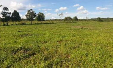 FINCA DE 80.000 HECTAREAS EN VENTA, PUERTO GAITAN META