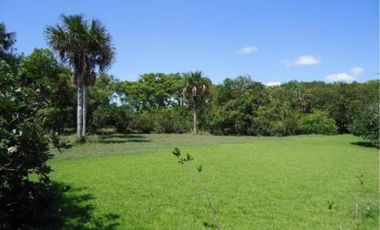 FINCA DE 80.000 HECTAREAS EN VENTA, PUERTO GAITAN META