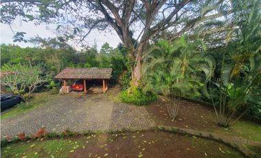 ALQUILO LOCAL CAMPESTRE PANCE MARBELLA PLAZA