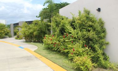 Departamento amueblado en renta en Flamingos Nuevo Vallarta