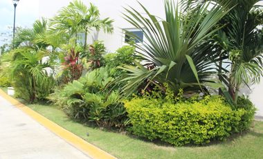 Departamento amueblado en renta en Flamingos Nuevo Vallarta