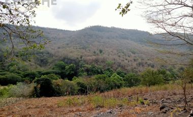 Terreno de 24 hectáreas en Venta/Renta en Actopan. Veracruz.