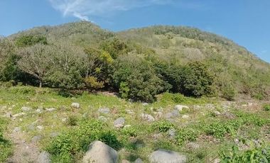 Terreno de 24 hectáreas en Venta/Renta en Actopan. Veracruz.