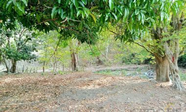 Terreno de 24 hectáreas en Venta/Renta en Actopan. Veracruz.