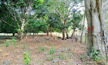 Terreno de 24 hectáreas en Venta/Renta en Actopan. Veracruz.
