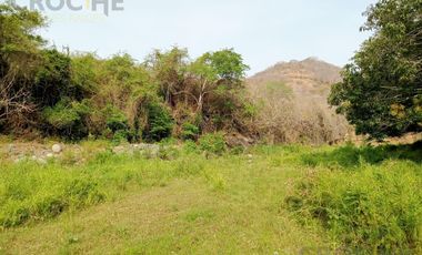 Terreno de 24 hectáreas en Venta/Renta en Actopan. Veracruz.