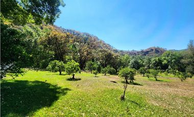 Venta de Rancho en Temascaltepec, Estado de México