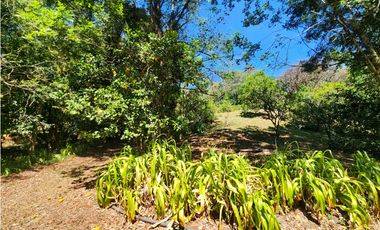 Venta de Rancho en Temascaltepec, Estado de México