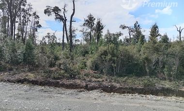 Parcela en Venta en Las Chilcas Lote 43