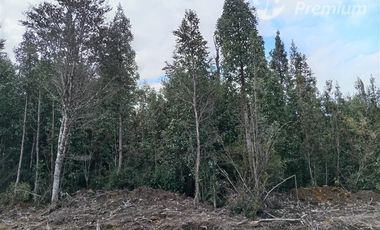 Parcela en Venta en Las Chilcas Lote 43