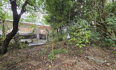 Local Comercial en Venta en AVENIDA BEAUCHEF