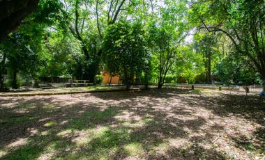 Casas en venta en Villa Elisa con 4 dormitorios