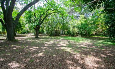 Casas en venta en Villa Elisa con 4 dormitorios