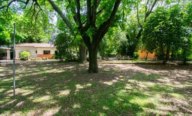 Casas en venta en Villa Elisa con 4 dormitorios