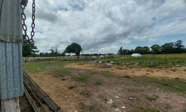 Alquiler de Campo de 11 hectáreas en El Casal