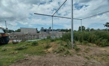 Alquiler de Campo de 11 hectáreas en El Casal