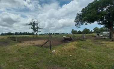 Alquiler de Campo de 11 hectáreas en El Casal