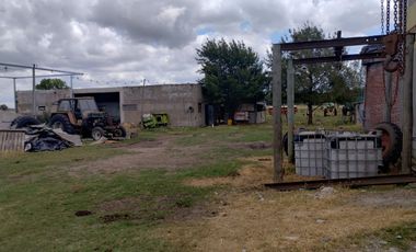 Alquiler de Campo de 11 hectáreas en El Casal