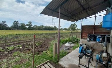 Alquiler de Campo de 11 hectáreas en El Casal
