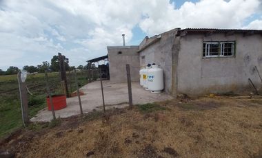 Alquiler de Campo de 11 hectáreas en El Casal