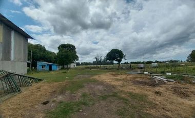 Alquiler de Campo de 11 hectáreas en El Casal