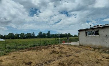 Alquiler de Campo de 11 hectáreas en El Casal