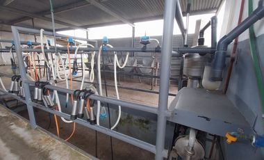Alquiler de Campo de 11 hectáreas en El Casal